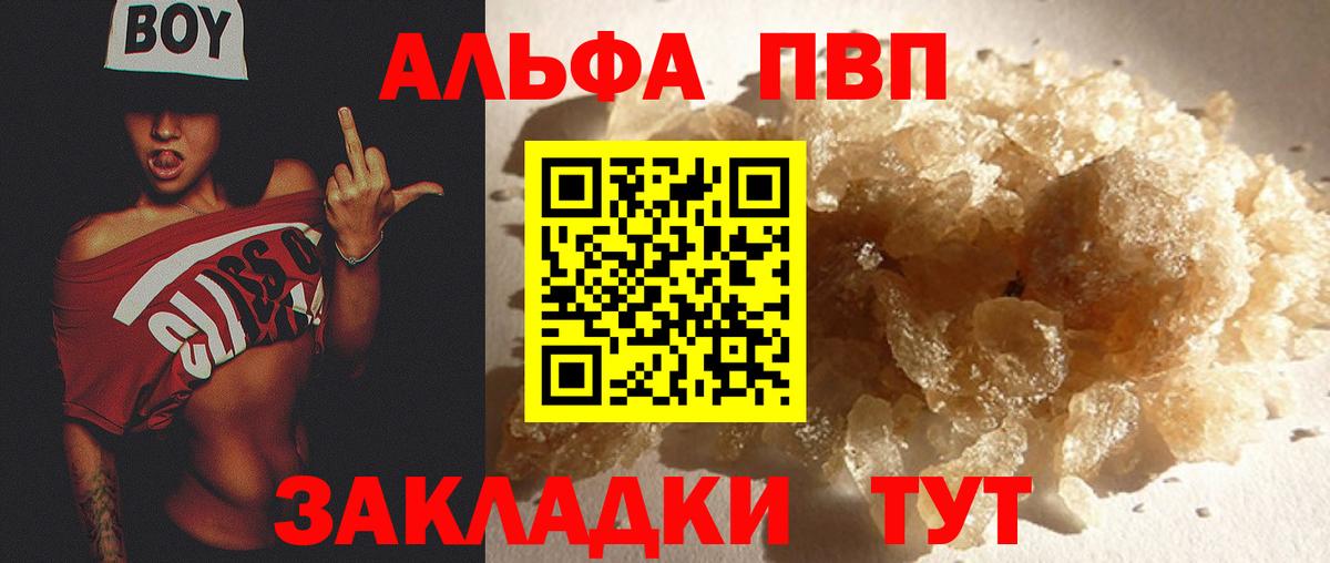 Alfa_PVP СК Клинцы
