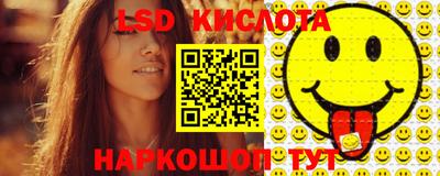 стаф Шебекино