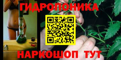 молекула духа Шахты
